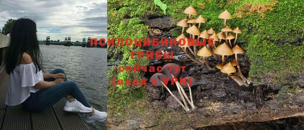 ГАЛЛЮЦИНОГЕННЫЕ ГРИБЫ Алексин